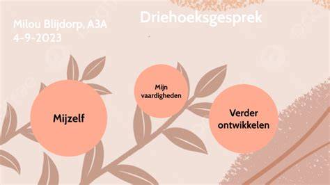 Wat moet er in een driehoeksgesprek