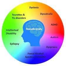 Wat valt onder neurodiversiteit