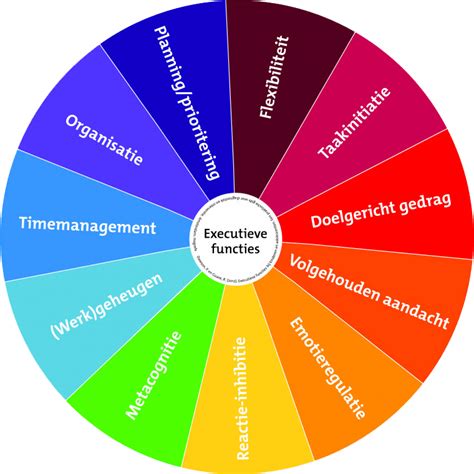 Wat zijn de 12 executieve functies