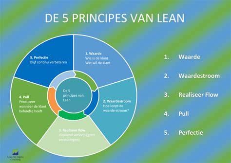 Wat zijn de 5 lean principes