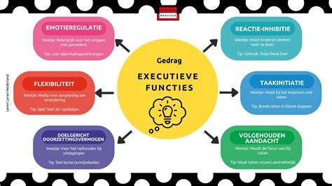 Wat zijn de drie executieve functies
