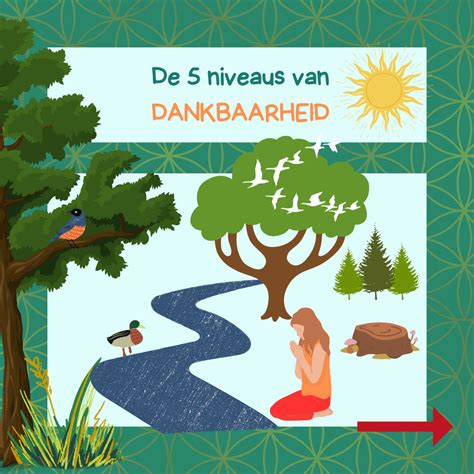 Wat zijn de drie kenmerken van dankbaarheid