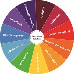 Wat zijn executieve functies van ADHD