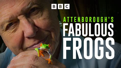 Watch Attenborough