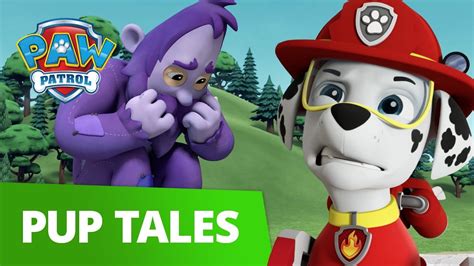 Watch PAW Patrol - S6:E22 Pups Save a Humsquatch; Pups Save …