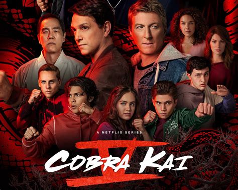 Where to watch Cobra Kai · Season 5 starring Ralph Macchio, William Zabka, Courtney Henggeler and directed by Joel Novoa. As Terry leads Cobra Kai into a new regime, Daniel, Johnny and an old ally join forces in a battle that goes way beyond the mat.. 