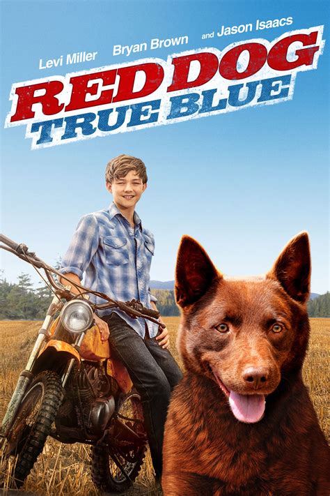 Watch red dog. Koko: A Red Dog Story is 4156 on the JustWatch Daily Streaming Charts today. The movie has moved up the charts by 1682 places since yesterday. In the United States, it is currently more popular than It Ain't Over but less popular than Aachar & Co. 