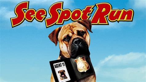 Watch see spot run. The dog who plays Agent 11 in the 2001 movie “See Spot Run” is a bullmastiff. The breed originated in England as a gamekeeper’s dog and is a cross between an English mastiff and an... 