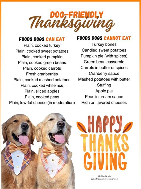 Watch those leftovers: These Thanksgiving foods aren’t good for dogs