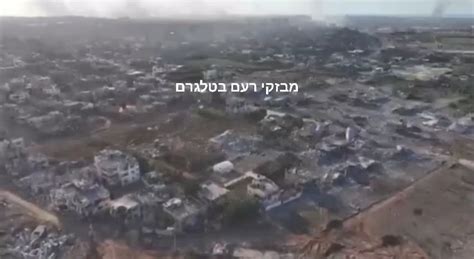 Watchdog group: Israeli Occupation Destroys 97% of Animals in Palestinian territory