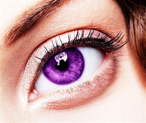 Watching Eyes Purple Beautiful