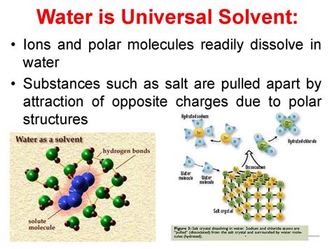 Water, the Universal Solvent U.S. Geolog…