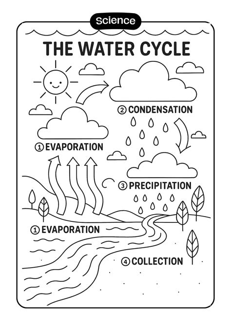Water Cycle Coloring Shee