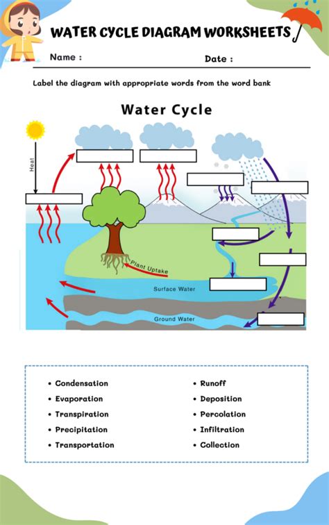 Water Cycle Diagram Worksheets 99Worksheets