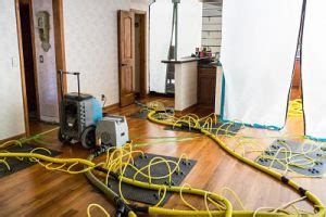 Water Damage Metro Detroit Flooded Basement Sanitization