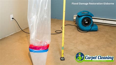 Water Damage Restoration Gisborne South Emergency Flood …