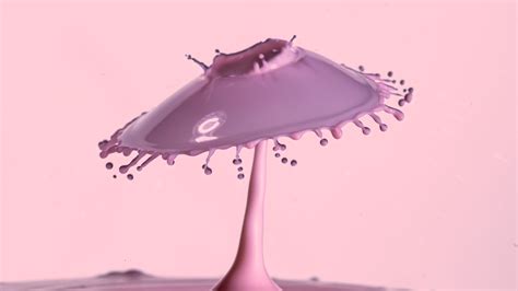 Water Drop Collision Photography - everything you need to know