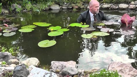 Water Lily Plant Hunting In Natural Pond - YouTube