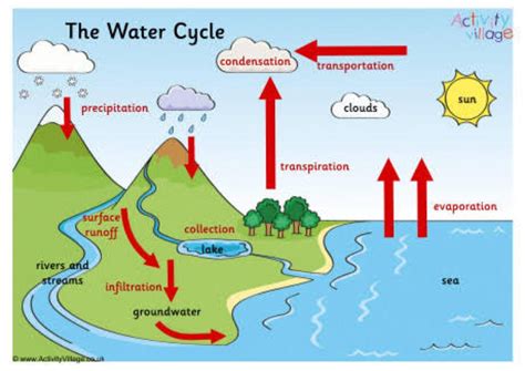 Diagram of the water cycle Precipitation is a vital component of how water moves through Earth's water cycle, connecting the ocean, land, and atmosphere.. 