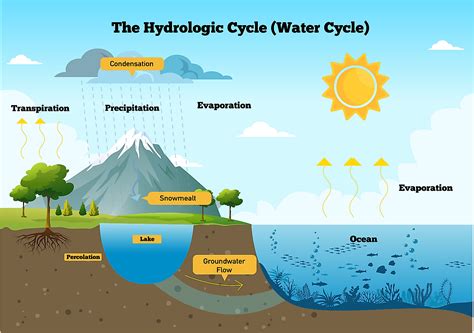 Water cycle diagrams. Learn more about where water is on Earth and how it moves using one of the USGS water cycle diagrams. We offer downloadable and interactive versions of the water cycle diagram for elementary students and beyond. Our diagrams are also available in multiple languages. Explore our diagrams below. 
