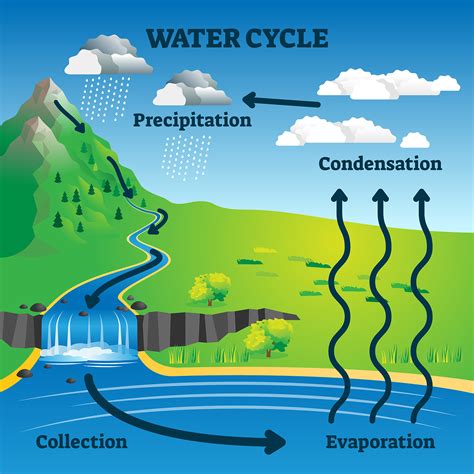 Freshwater on the land surface is a vital part of the water cycle for everyday human life. On the landscape, freshwater is stored in rivers, lakes, reservoirs, creeks, and streams. Most of the water people use everyday comes from these sources of water on the land surface.. 