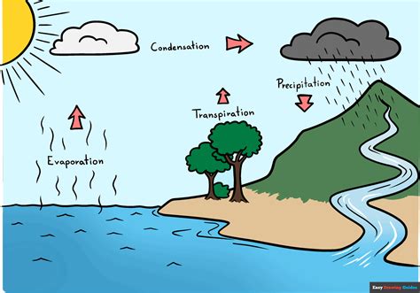 Let’s learn how to draw water cycle.Follow my step