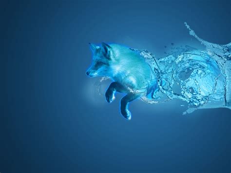 Water fox. Waterfox will now run with hardware acceleration on VMware hosts. @goodusername123; Security fixes 1. Fixes. Waterfox company information and versioning should now show BrowserWorks Ltd and the display version properly in Control Panel. A re-install with the latest installer is required. Waterfox will now … 