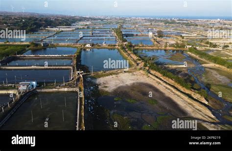 Water ponds and industrial buildings for shrimp farming in …