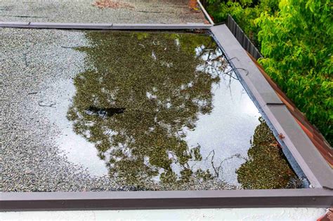 Water pooling. Ponding water on a flat roof. Ponding is the phenomenon of water pooling on flat roofs after storms, snow melts, or heavy rains. Pools should drain away without causing any damage to the structure – but building owners should know when to take action, how to identify the cause of the ponding, and how to resolve it. 