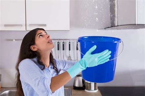 Water remove. Roto-Rooter's water removal service is performed by our water removal experts who are well-trained and knowledgeable in the area of water damage restoration. Our trained … 