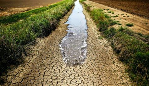 Water scarcity Agriculturists in Syria face most severe drought in decades