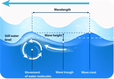 Water waves move in such a way that the water particles …