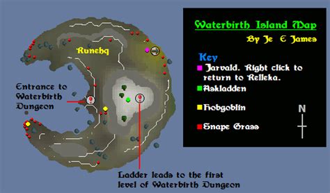 Waterbirth Island is a small island off the coast of Rellekka, along with Neitiznot, Jatizso, Miscellania and Etceteria.It is home to the Dagannoth dungeon, a multi-layer dungeon where players can fight the three Dagannoth Kings, and the entire island is littered with Snape Grass and Rock Crabs, making it an ideal place to collect the secondary ingredient for Prayer Potions and to train combat.. 