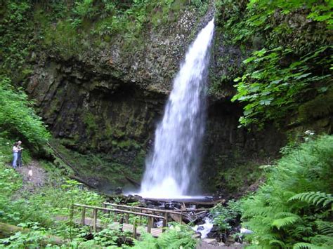 Waterfall Trolley - Hop-On Hop-Off on the Waterfall Corridor