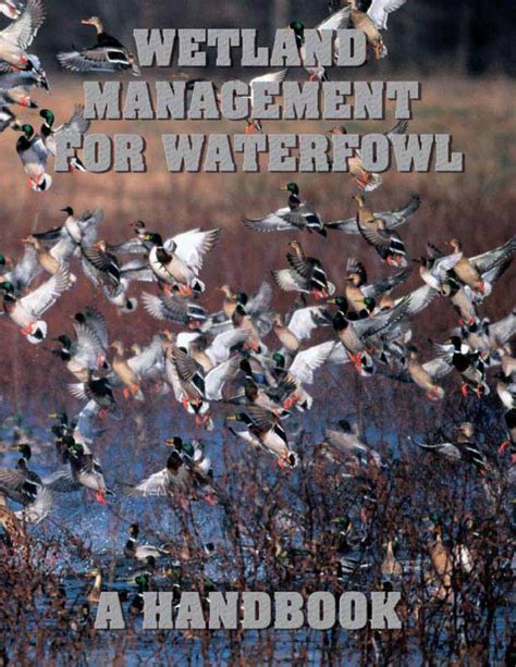 Waterfowl management handbook by james kent ringelman. - Study guide for nyc correction officer exam.