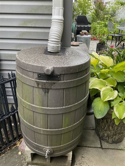 Watering right can save gardeners money, gallons and their plants, too