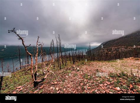 Waterton Lakes National Park after the Fire