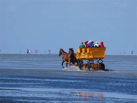 Wattwagenfahrten Bunde