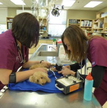 VCA Canada Animal Hospitals is a family of over