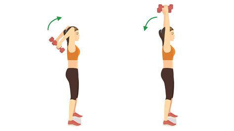 Wave Goodbye to ‘Lunch Lady Arms’ with 3 Easy Tricep Exercises …