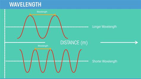 Wave motion with examples, and distinguish between mechanical and