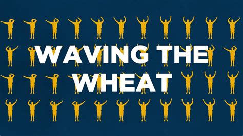 Wave the wheat. Things To Know About Wave the wheat. 