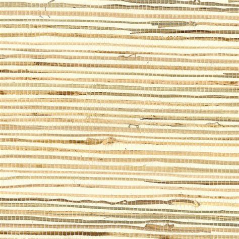 Wayfair Raffia Wallpaper You