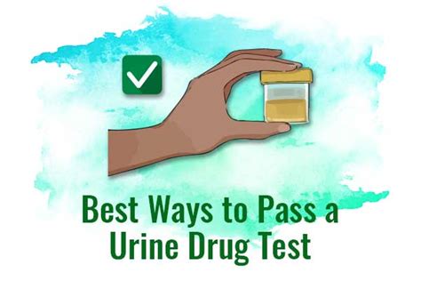 Ways Of Passing A Urine Drug Test