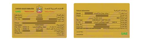 Ways to Check Car History with Chassis Number in the UAE