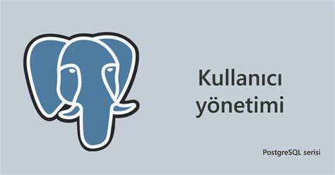 Ways to handle SQL NULL values in Go Ekin Karadeniz