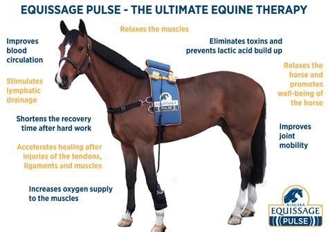 We 💙 Hovis and Hovis 💛’d his Equissage Pulse session ...