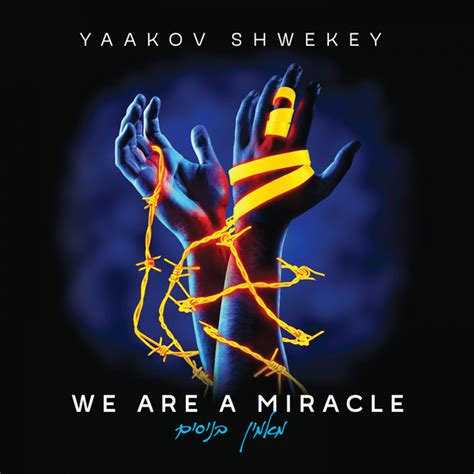 We Are a Miracle - Album by Yaakov Shwekey Spotify