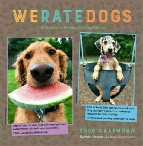 We Rate Dogs Calendar