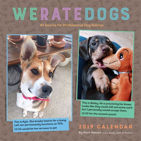 We Rate Dogs Calendar 2022